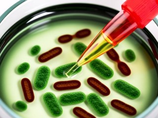 g试验究竟是什么？揭秘其神秘面纱！