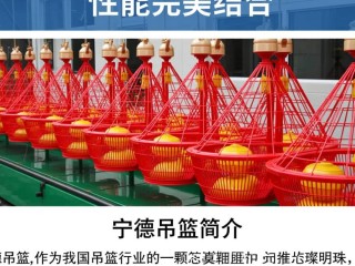 宁德吊篮品质如何？性价比如何？市场评价怎样？