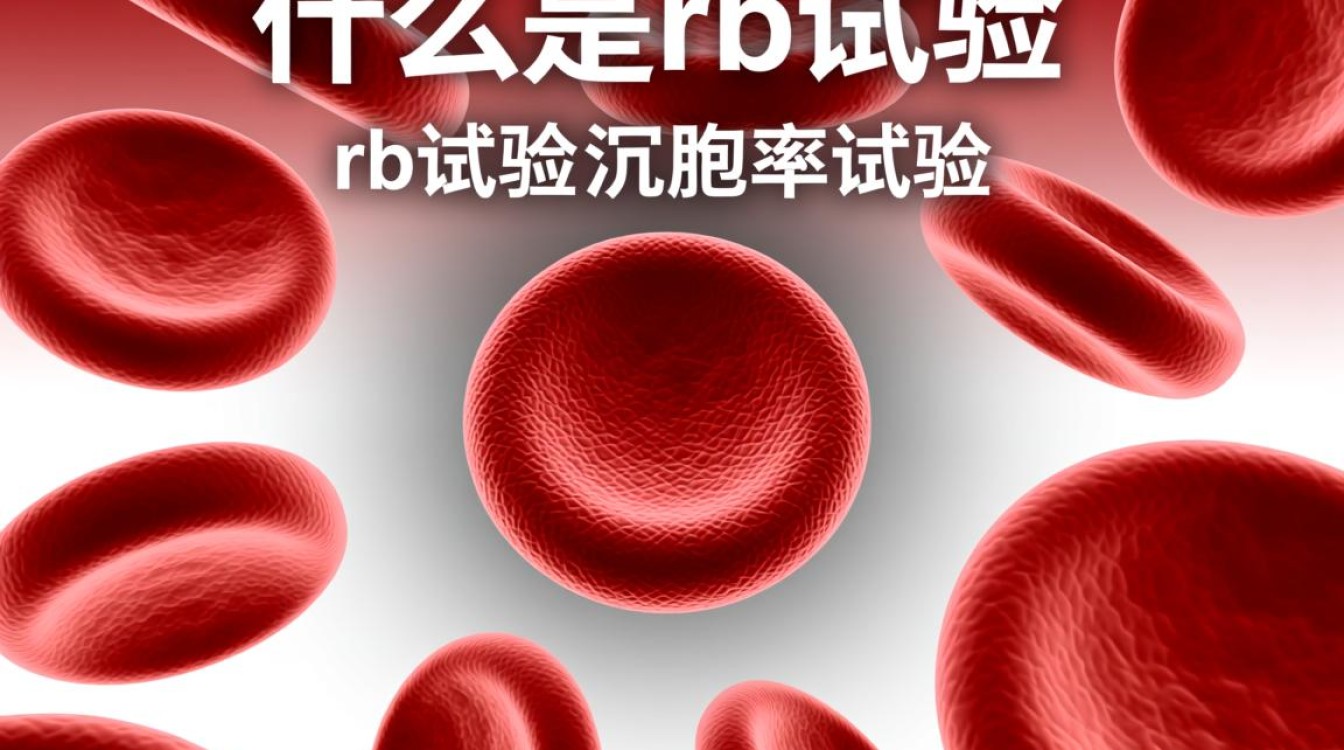 RB试验究竟指的是哪种试验？